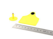 牛耳标 猪耳标 羊耳标 rfid超高频UHF 低频LF耳标