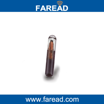 FRD-LF2-GT22-64B玻璃管标签骆驼马牛身份识别4 x 21.7mm