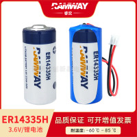 睿奕ER14335H烟雾报警器硫化氢检测温湿度记录仪3.6V锂电池2/3AA