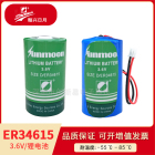 武汉瀚兴日月ER34615容量型锂亚电池