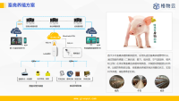 智慧养殖整体解决方案