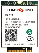 龙尚LTE Cat6标准数据模块E9510