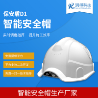 保安盾D1
