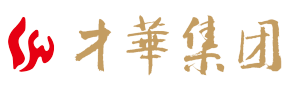南京才华科技集团有限公司
