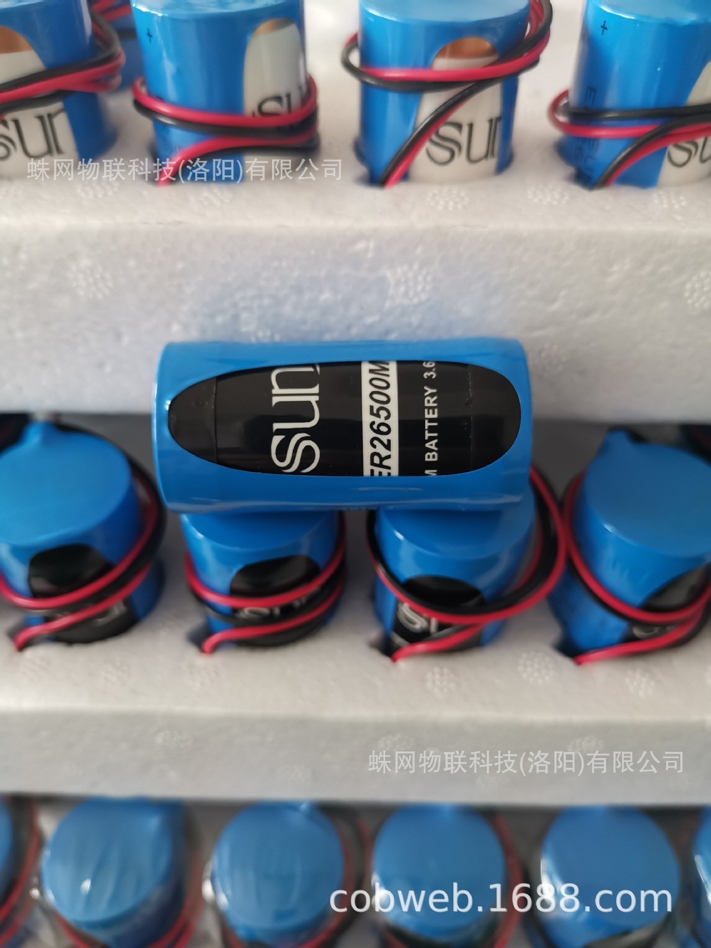 SUNJ 3.6V锂电池ER26500M图片