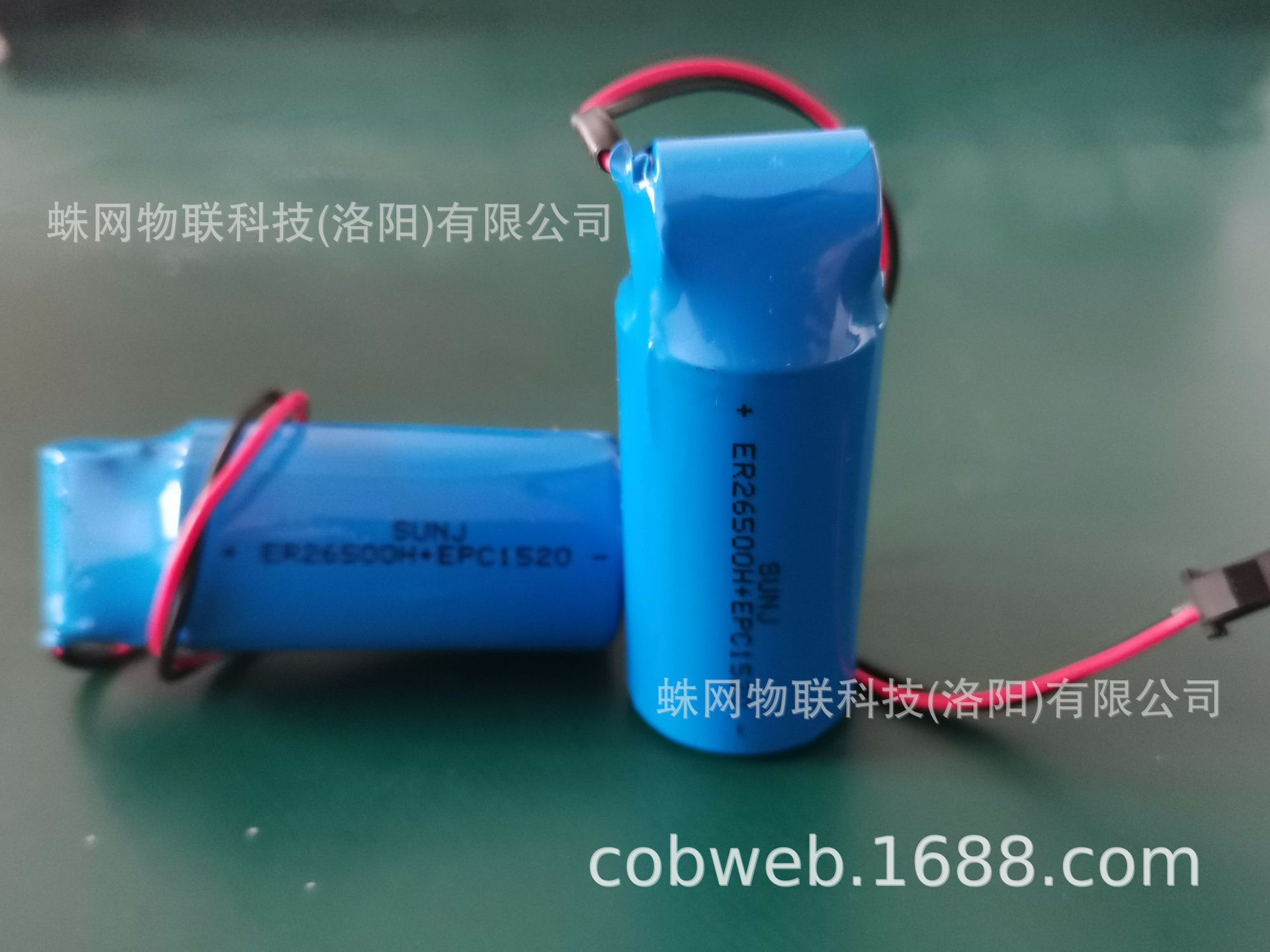 SUNJ 3.6V锂电池 ER26500H图片