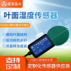 威海晶合叶面温湿度传感器485