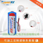 ER18505M睿奕电池3.6V智能IC水表燃煤气表流量计