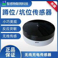 公厕蹲位坑位传感器