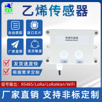  氧气乙烯传感器二合一变送器