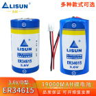 力兴锂电池ER34615定位器PLC流量计量表远表水表物联网1号D型