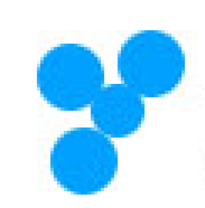 上海云颠计算机科技有限公司