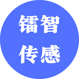 苏州镭智传感科技有限公司