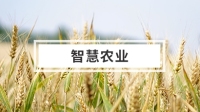 智慧农业解决方案