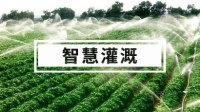 智慧灌溉解决方案 水肥一体化
