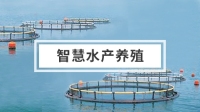 智慧水产养殖解决方案