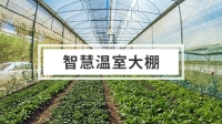 智慧大棚解决方案