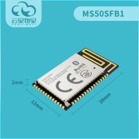 低功耗蓝牙5.1模块nRF52811芯片模块