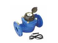 垂直螺翼式水表WS DN40-200mm可拆卸