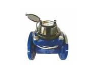 大口径光电直读水表LXLC/LXXG DN50-300mm/ZD