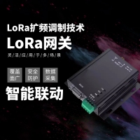 LoRa网关（可定制）