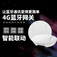4G蓝牙网关