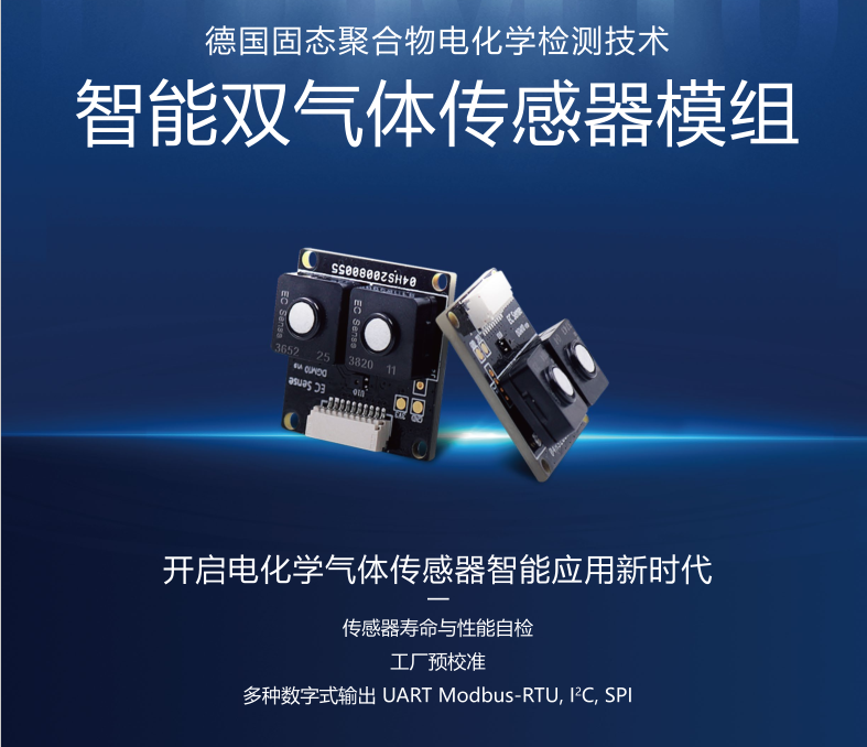 DGM10 双气体智能传感器模组图片