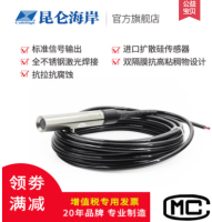 JYB-L污水双隔膜防腐型液位变送器