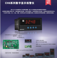 CH6系列数字显示报警仪