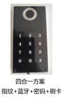 全自动锁体（大霸王）