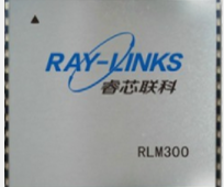 RLM300超高频RFID读写模块图片