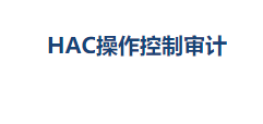 HAC操作控制审计