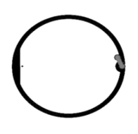 D=58mm 高频 RFID Ntag 干 Inlay