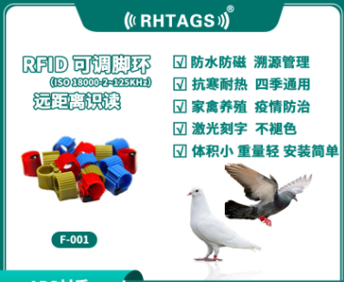 RFID可调脚环图片