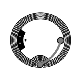 D=35mm 高频 RFID Ntag 干 Inlay图片