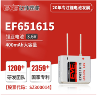 EF651615锂亚方形电池