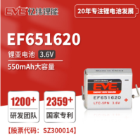EF651620锂亚方形电池