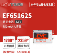 EF651625锂亚方形电池