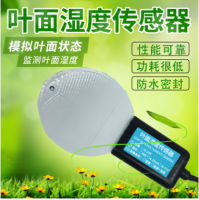 叶面湿度传感器变送器RS485