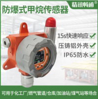 防爆式甲烷传感器