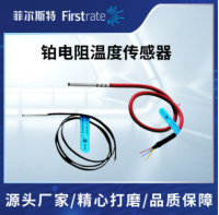 铂电阻温度传感器