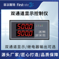 双通道显示控制仪