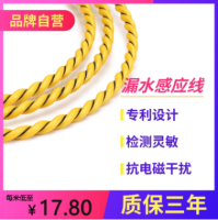 不定位漏水监测绳