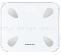 红檬四电极测脂人体秤