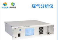 煤气分析仪(在线型)