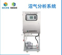 沼气分析系统