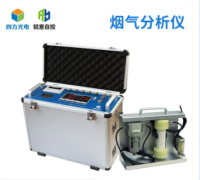 便携红外烟气分析仪