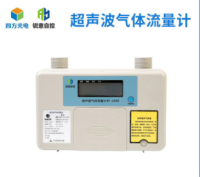 超声波气体流量计(B-2000)