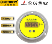 MD-S300Z 数字压力表