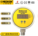 MD-S300E 数字压力表